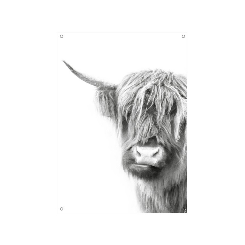 Tuinposter Schotse Hooglander Zwart-wit