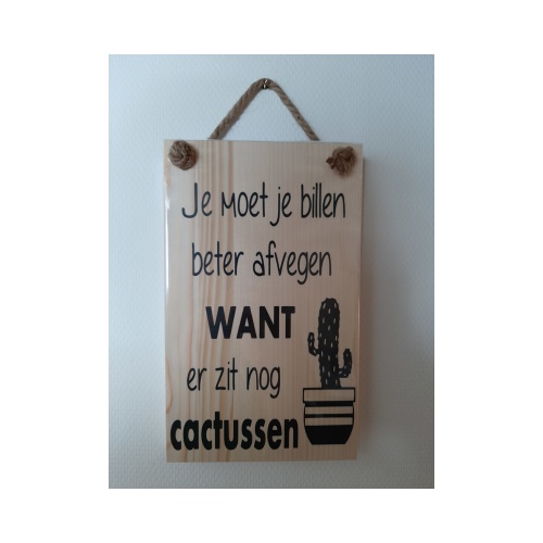 Tekstbord Billen Afvegen Cactussen